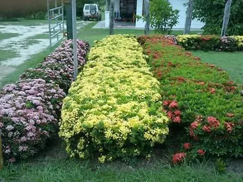 Hotel Cabins The Garden *
